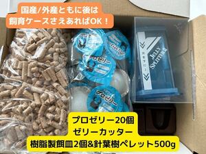 成虫飼育セット　ダニ防止針葉樹ペレット入り