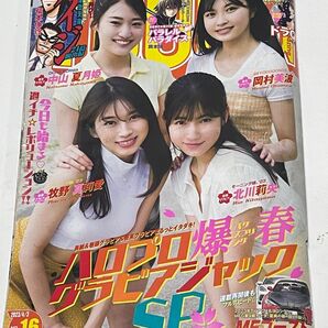 ヤングマガジン2023年4月3日号NO.16