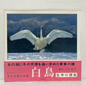 白鳥 生命の讃歌 1993年1/16再版発行★若本俊雄/写真集/猪苗代湖