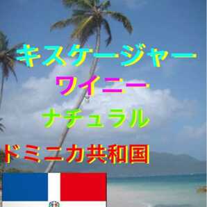 ドミニカ　キスケージャ　ワイニー1000gコーヒー生豆！簡単なハンドピック済みです！焙煎しておりません！