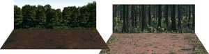 ジオラマシートmini-W 森林セットA 430 x 302mm　森　背景シート　箱庭技研 DSmW-M001