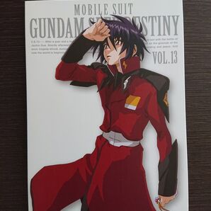 【値下げしました】ガンダムSEED DESTINY コレクションボックス ケース(バラ売り) VOL.13