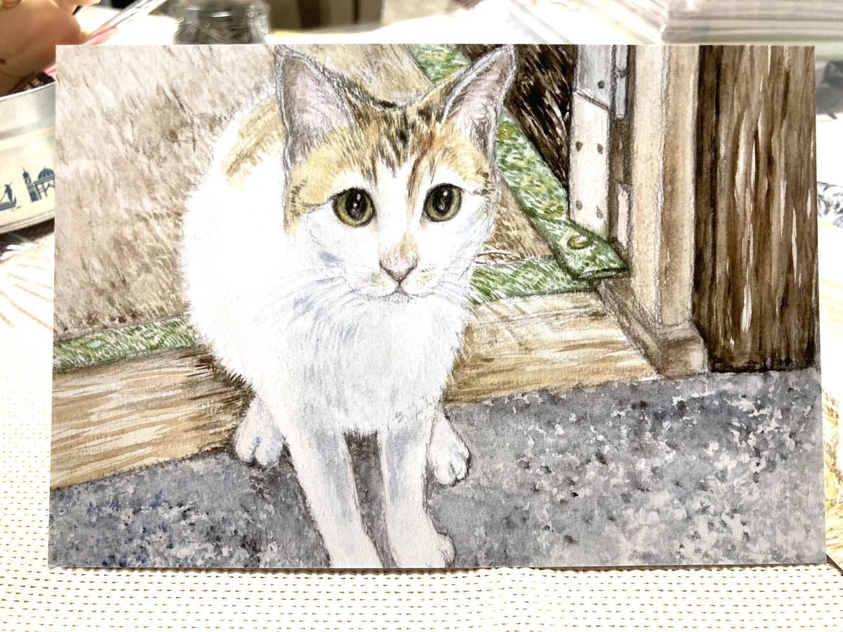 Original Hand-Drawn artwork illustration postcard Miu-chan calico cat watercolor painting reproduction [Shizuka Aoki], comics, anime goods, hand drawn illustration