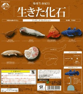 ◎エポック 地球生命紀行 「生きた化石」 シークレット含む全８種セット 新品・未開封 2003年当時物 カブトエビ ピラルク シーラカンス