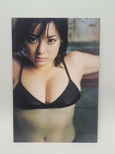 ①　乙葉　DIARY　2002-2003　カレンダー　グラビアアイドル　タレント　女優　写真集　特典？　グッズ