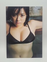 ②　乙葉　DIARY　2002-2003　カレンダー　グラビアアイドル　タレント　女優　写真集　特典？　グッズ_画像1