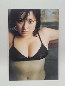 ②　乙葉　DIARY　2002-2003　カレンダー　グラビアアイドル　タレント　女優　写真集　特典？　グッズ