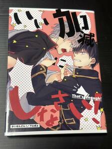 銀魂【いい加減にしなさい！】銀土 再録 かいせんどん！