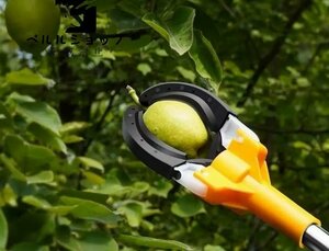 果樹用 果物収穫 ポータブル フルーツピッカー フルーツキャッチャー 伸縮ハンドル付き 伸縮式 1.8m-3m PE アルミ合金製