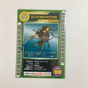 ムシキング2002 ロケテストカード エレファスホソアカクワガタ