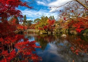 紅葉 もみじ イロハモミジ 日本庭園 池 癒し 絵画風 壁紙ポスター 特大A1版 830×585mm （はがせるシール式） 003A1