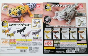 台紙のみ　いきもの大図鑑レプティ　レオパードゲッコー　クレステッドゲッコー　2枚セット　カプセルトイ　ガチャ