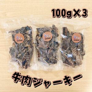 牛肉ジャーキー100g×3袋 犬のおやつ 無添加 havepet