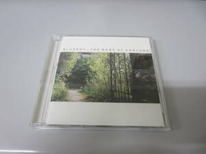 Blueboy/The Bank of England UK盤オリジナルCD ネオアコ ギターポップ Field Mice Another Sunny Day Orchids Feverfew 