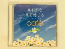 即決CD 爽やかな風を感じる アコースティック cafe / オムニバス Summer 少年時代 涙そうそう カントリーロード U06_画像1