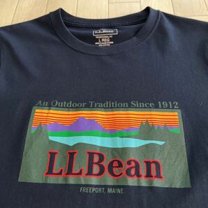 L.L.Bean エルエルビーン TRADITIONAL FIT FREEPORT MAINE プリント 半袖Tシャツの画像2