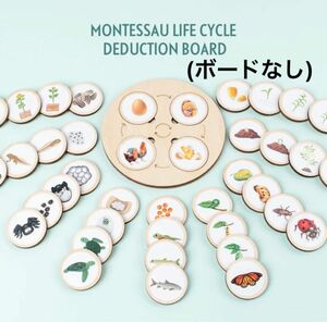 生物 ライフサイクル 木パズル モンテッソーリ 知育 虫 花 昆虫 植物　40pcs