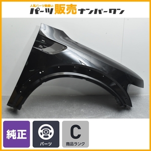 【希少品 正規品】フォード F150 純正 フロント フェンダー 右側 助手席側 品番：AL3V-16005-A ブラック系 FORD GENUINE PARTS 即納可能