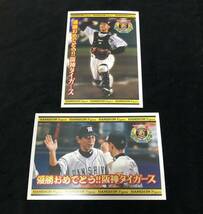 未使用 ♪ 阪神タイガース 2003年 優勝おめでとう メモリアル ポストカード 10枚セット はがき (管理KO2010)_画像4