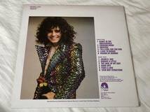 Marc Bolan And T-Rex/Dandy in the Underground 中古LP アナログレコード 2枚組 MARCL508 T.レックス マーク・ボラン Vinyl_画像2