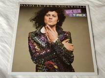 Marc Bolan And T-Rex/Dandy in the Underground 中古LP アナログレコード 2枚組 MARCL508 T.レックス マーク・ボラン Vinyl_画像1