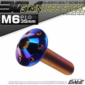 SUS304 フランジ付き ボタンボルト M6×35mm P1.0 六角穴 焼きチタン色 ステップホール ステンレス ボルト TR0210