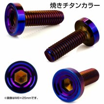 ブレーキ ディスクローター ボルト ヤマハ用 M8×25mm P=1.25 ステンレス シェルヘッドフラット C1 焼きチタンカラー TD0162_画像2