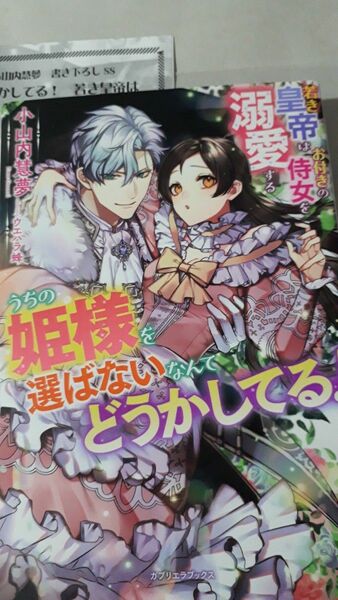 うちの姫様を選ばないなんてどうかしてる！　若き皇帝はお付きの侍女を溺愛する （ガブリエラブックス） 小山内慧夢／著　ＳＳペーパー付