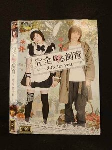 ○016095 レンタルUP▲DVD 完全なる飼育 メイド、for you 4839 ※ケース無