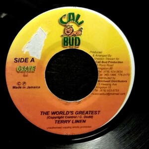 EPレコード　TERRY LINEN / THE WORLD'S GREATEST (ROCK ME)