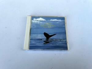 環境音楽CD SONGS FROM THE SEA ソングス・フロム・ザ・シー TUK DAVIS meldac MECS-30002 オーストラリア ザトウクジラ 鯨 4988030002200