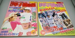 『輝け甲子園の星 日刊スポーツグラフ第67・68号 不揃計2冊セット』/1986年初版/日刊スポーツ出版社/Y815/mm*22_7/53-03-1A