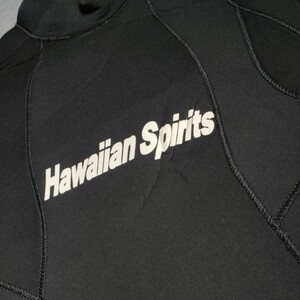 訳有りジャンク新品未使用正規品本物hawaiian spiritsレディース半袖ブラックスプリングレディースL クロネコヤマトお手軽便60サイズ梱包