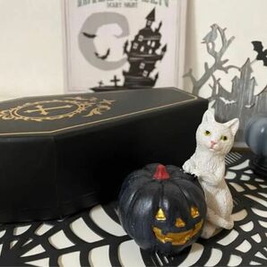 お洒落！ハロウィングッズ　ハロウィン　ハロウィン置物　かぼちゃ　ボックス