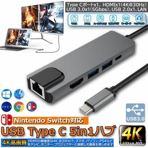 即納 USB TypeC ハブ Nintendo Switch対応 4K＠30Hz 有線LAN アダプター USBC HDMI LANポート イーサネット PD充電ドッキングステーション