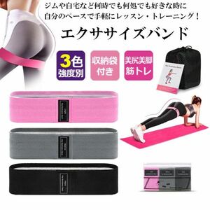 即納 エクササイズバンド 強度別3本セット トレーニングチューブ トレーニングバンド 筋トレチューブ フィットネスバンド ゴムバンド収納袋