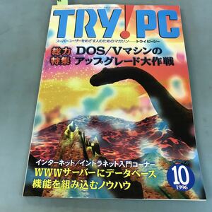 A03-064 TRY!PC 10 1996 特集DOS/Vマシンのグレード大作戦 CQ出版社