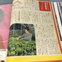 A03-120 主婦の友 1971 4 別冊付録欠品です 特集＊お母さんに出来る 子どもの能力開発 読者の傑作 春の50円おかず 主婦の友社_画像9