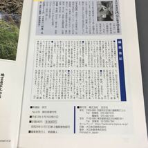 A11-060 淡交 平成十三年 増刊号 茶の湯この100年 淡交社_画像9