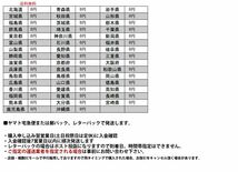 IZ46495S★Edison Bulb “A-Shape” L 40W E26 照明 電球 ペンダントライト ランプ レトロ カフェ 裸電球 フィラメント_画像5