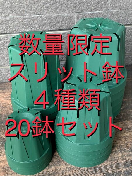 数量限定♪ スリット鉢　20鉢セット　4種類×各5鉢　オススメサイズの販売