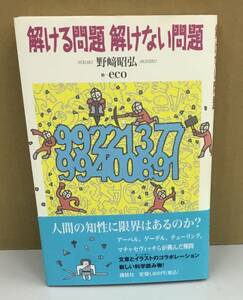 K0901-38　解ける問題解けない問題　著者：野崎昭弘 画家：eco　講談社　発行日：2009年11月20日 初版第1刷