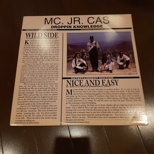 MC. JR. CAS / WILD SIDE / NICE AND EASY /LOU REED,WALK ON THE WILD SIDE ネタ,クボタタケシ,