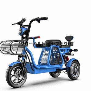 好評☆大人用3輪電動自転車 電動スクーター付き電動ロック付き高速バッテリー充電器帽子付きショッピング用 500W電動自転車48V 11A D112