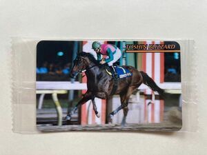 未開封　NO663 トーシンブリザード　まねき馬倶楽部　競馬　カード