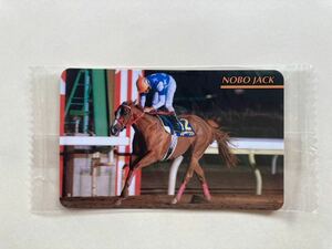 未開封　NO667 ノボジャック　まねき馬倶楽部　競馬　カード