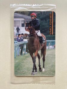 未開封　NO234 シンコウエドワード　まねき馬倶楽部　競馬　カード