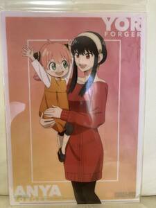 SPY×FAMILY clear file yoru&a-nya. four ja-