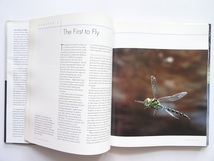 洋書◆昆虫 鳥 飛行機が空を飛ぶ仕組み 本_画像2