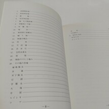 皮内鍼法 赤羽幸兵衛 医道の日本社 平成10年第17版 中古 針 ハリ術 健康 東洋医学 07332F042_画像7